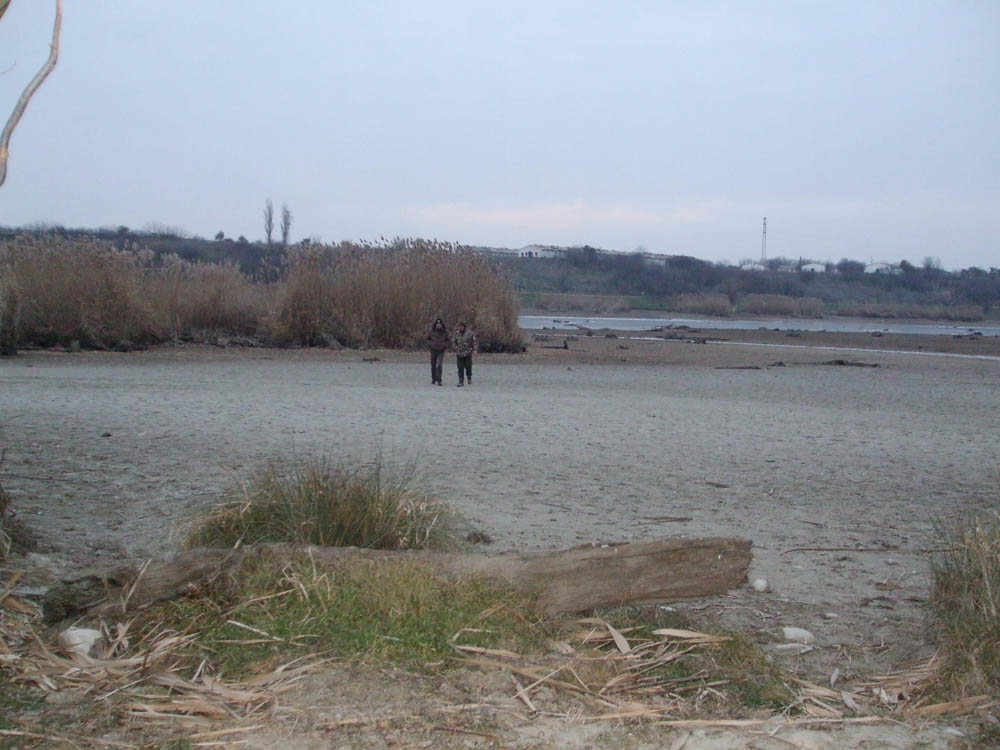 TANCABESTI SECAT - DSCF3478.jpg